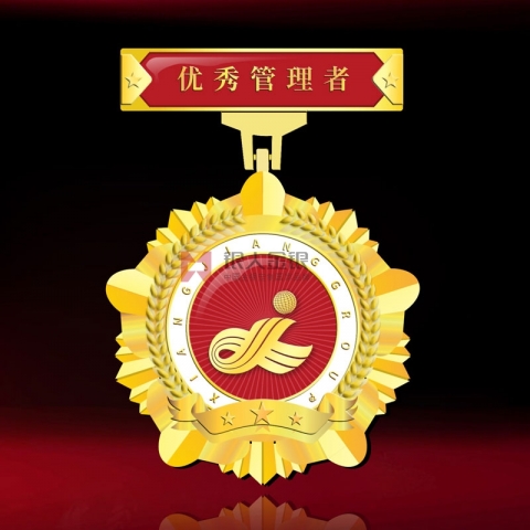 湖南長沙湘江集團優(yōu)秀管理者獎牌獎章