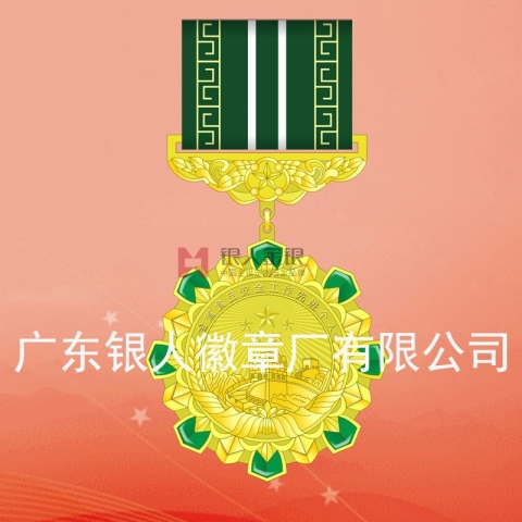 河南省政府食品安全工作先進(jìn)個人勛章定制