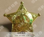 高檔榮譽胸章,榮譽勛章,鍍金鋅金獎?wù)? title=